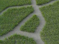 Maislabyrinth Venne 2014