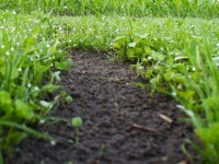 Suche das Labyrinth im Labyrinth!