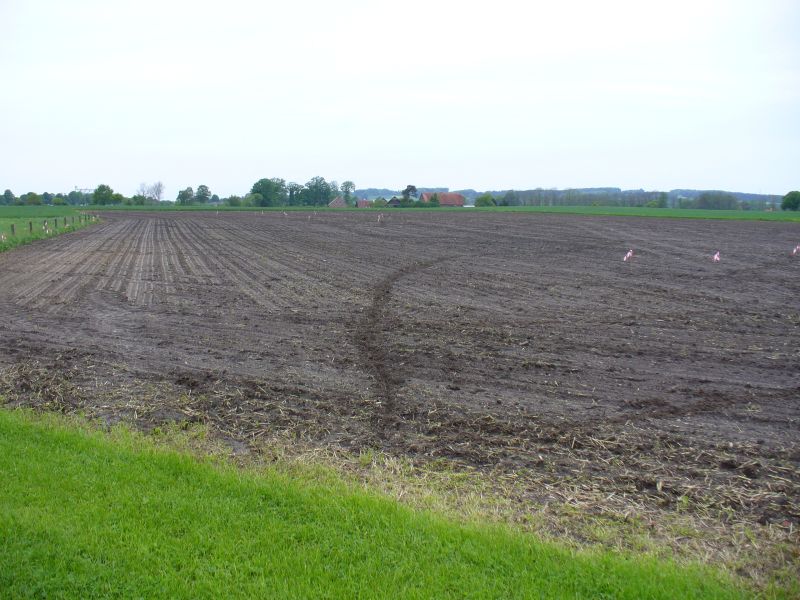 Maislabyrinth Venne 2014 - Fotogalerie - 2 von 100