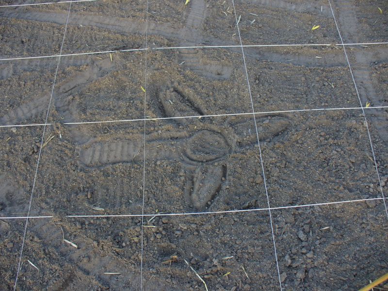 Maislabyrinth Venne 2014 - Fotogalerie - 9 von 100