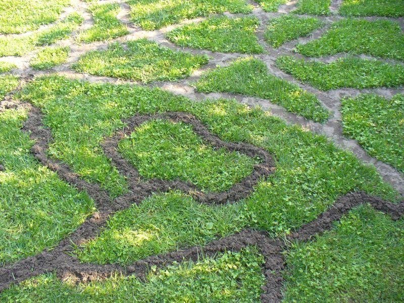 Maislabyrinth Venne 2014 - Fotogalerie - 90 von 100